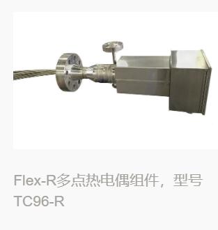 Flex-R多點熱電偶組件，型號TC96-R